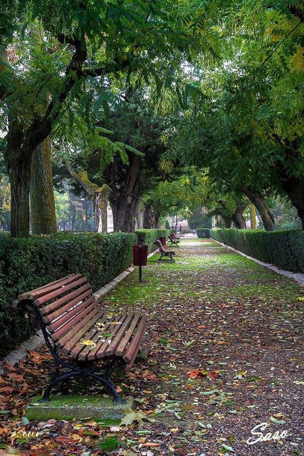 Pension Casa Pinilla Hotel Cascante Exterior photo